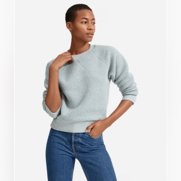 Everlane Tops - Everlane The ReNew Fleece Raglan Sweatshirt in Pale Sage
Size M